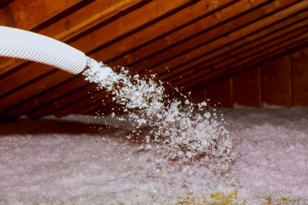 Best Insulation Repair Services  in Portland, MI