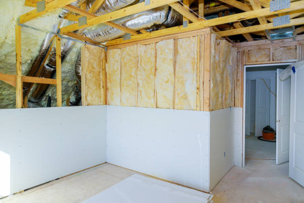 Best Insulation Contractor Near Me  in Portland, MI