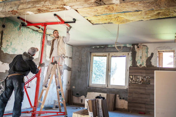 Best Insulation Repair Services  in Portland, MI