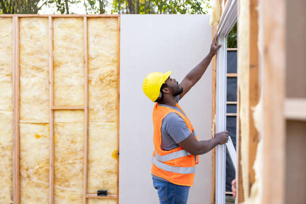 Best Home Insulation Services  in Portland, MI