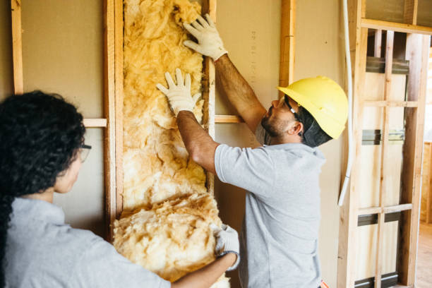 Best Insulation Replacement Services  in Portland, MI