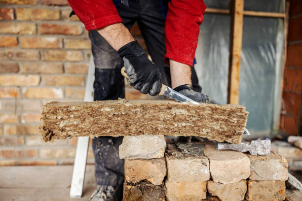 Best Attic Insulation Installation  in Portland, MI