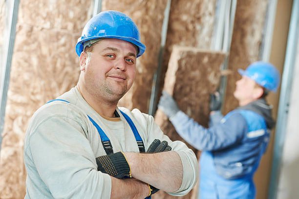 Best Professional Insulation Contractor  in Portland, MI